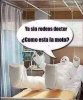ComoEstaLaMoto.jpg