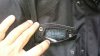 DSC_0864.jpeg