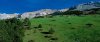 upload_2019-3-5_20-57-13.jpeg