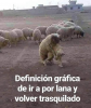 Pantallazo-2019-03-24 11-27-05.png