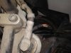IMG_20190323_125141.jpeg
