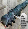 Pantallazo-2019-04-05 18-33-32.png