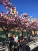 IMG-20190413-WA0003.jpg