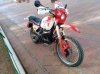 IMG_20190407_092927.jpg