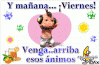 5595175_e011d.gif