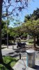 IMG_20190504_123730.jpg