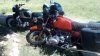 IMG_20190512_124606.jpg