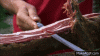 1D4F4D80-8A55-497A-9690-F0F5FA17F49D.gif