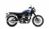 t100.jpg