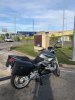 IMG_5293.jpeg
