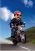 carreras-de-motos-para-nic3b1os.jpg