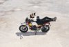 02-mcgregor-motoguzzi.jpg