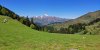 IMG_20190531_110243.jpg