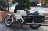 IMG_7943.jpg