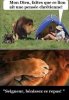 LION.jpg