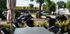 20190616_103037.jpg