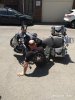 IMG_20190618_130946.jpg