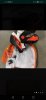 Screenshot_20190624-143350.jpg