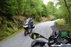 DSC_6448.JPG
