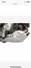 DF6CEBC4-4BD3-4CB4-954C-620F7DB256AA.png