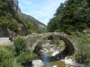 DSCN0801.JPG