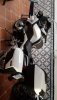 IMG-20190720-WA0001.jpeg
