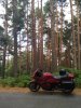 IMG_20190727_161142.jpg