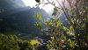 IMG_20190719_194121.jpg