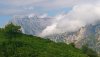 IMG_20190720_105756.jpg