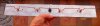 sshot-229R.jpg
