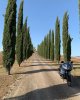 R100RS77 Toscana.jpg