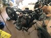 IMG_0470.jpeg