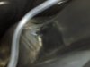 IMG-20190812-WA0001.jpg