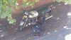 IMG-20181227-WA0003.jpg