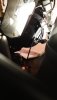 IMG-20190904-WA0010.jpeg