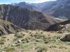 IMG_20190821_155910.jpg