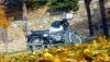 IMG-20181227-WA0002.jpg