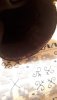 20190818_225553.jpg
