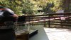 IMG_20190914_153620.jpg