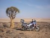 5d887cc70ce6942c798b4670-nueva-honda-crf1100l-africa-twin-2020.jpg