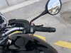 IMG_5383.jpeg