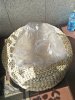 IMG_20190922_151107.jpg