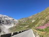 IMG_6485.jpg