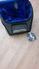 IMG-20190927-WA0008.jpeg
