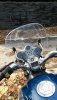 20161124_143247.jpg