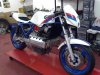 k100_race_rep.jpg