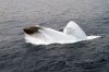 USSColumbus_SSN762.jpg