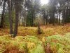 IMG-20191102-WA0035.jpg
