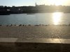 foto21.jpg