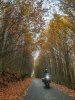 IMG-20191123-WA0004.jpg
